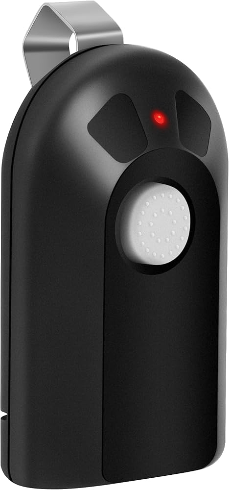 Genie Garage Door Opener Remote Model ACSCTG Type 1: Complete Guide